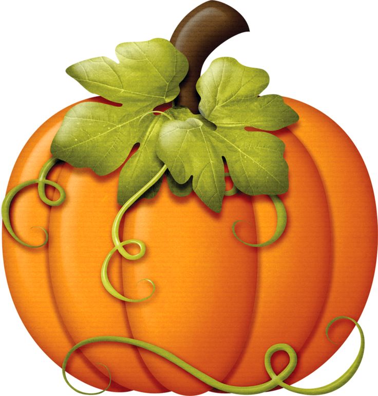 736x770 Pumpkin Clipart Image