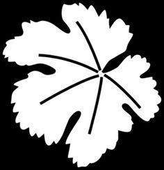 236x244 Pumpkins Aplenty