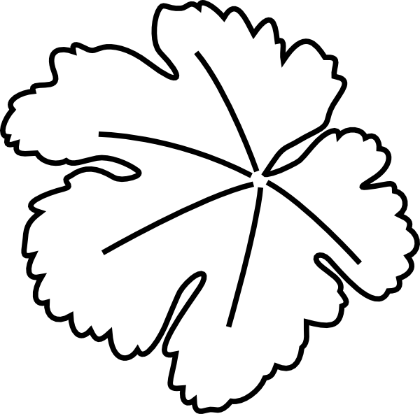 600x592 Pumpkin Leaf Clip Art