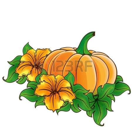 450x450 Pumpkin With Leaves Royalty Free Cliparts, Vectors, And Stock