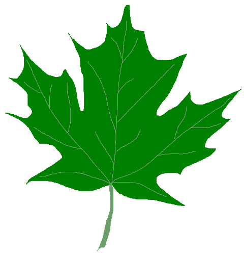 480x504 Green Leaf Clipart Images
