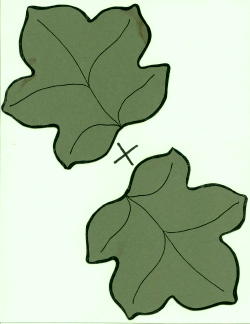 250x324 Leaves Clipart Pumpkin Leaf