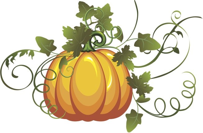 654x429 Pumpkin Vines Clipart