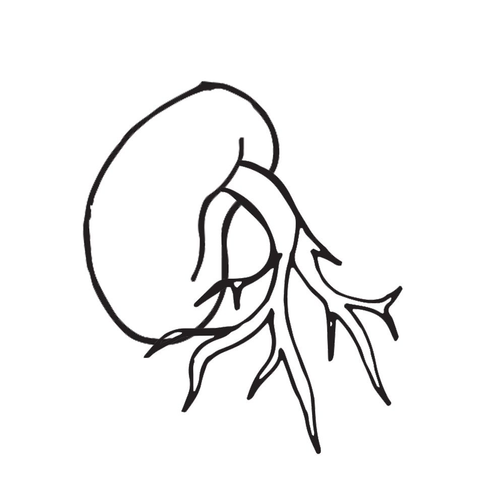 1000x1000 Plant Clipart Plant Life