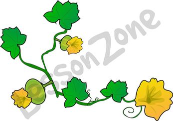 347x242 Pumpkin Life Cycle Clipart