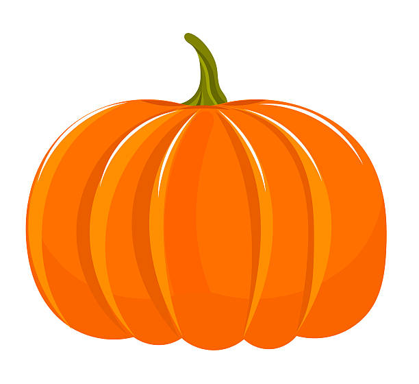 612x560 Squash Clipart Green Pumpkin