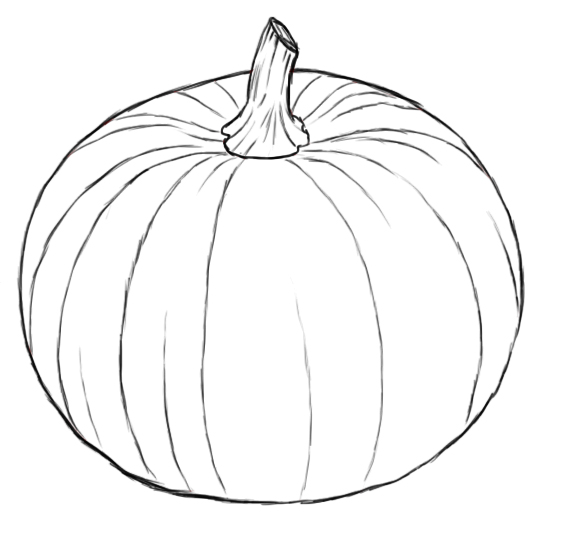 575x557 Drawn Pumpkin Line Drawing