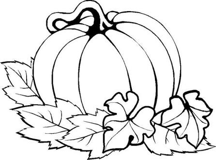 446x330 Image Result For Pumpkin Drawings Printing Drawings