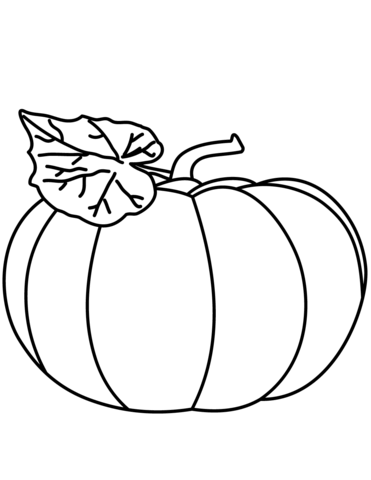 371x480 Pumpkin Coloring Page Free Printable Coloring Pages