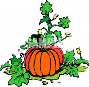 300x291 Free Clipart Image An Orange Pumpking In The Pumpkin Patch
