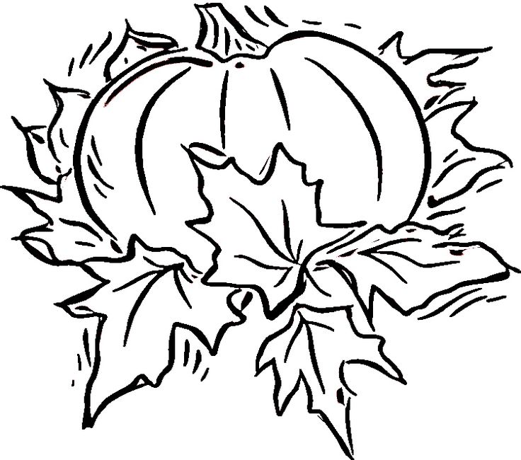 736x650 129 Best Colouring Pages Pumpkin Images Fabric