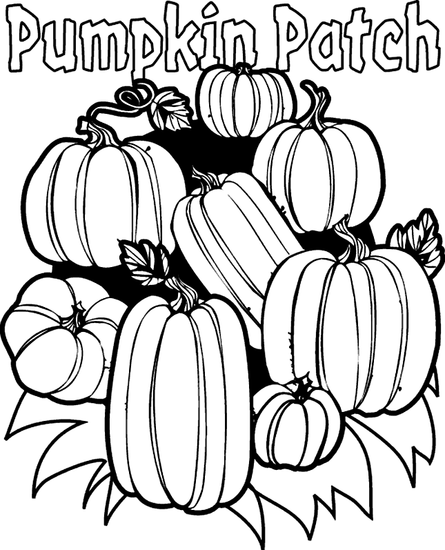 645x797 Pumpkin Patch Coloring Page