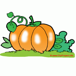 300x300 Plant Clipart Pumkin