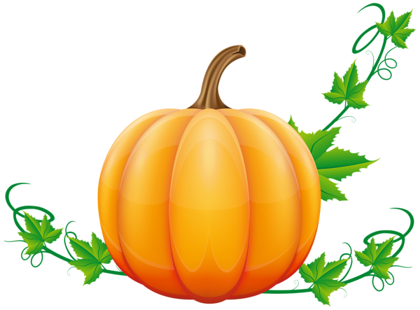 600x443 Pumpkin Png Clip Art Image Fall Clip Pumpkin Png