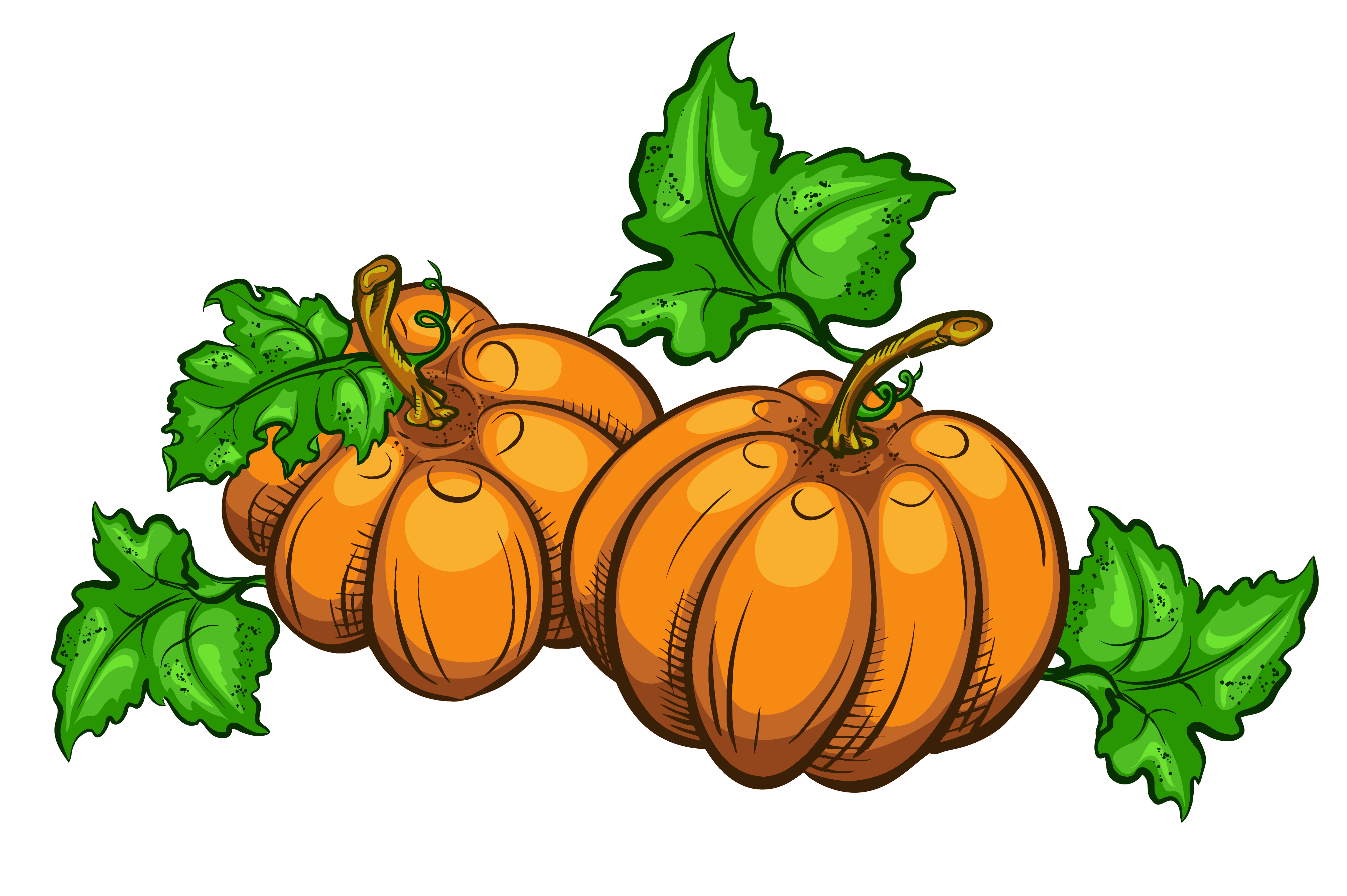 4031x2682 Transparent Pumpkins Png Clipart Pictureu200b Gallery Yopriceville