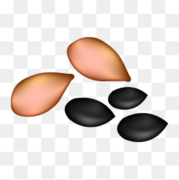 260x261 Pumpkin Seeds Png, Vectors, Psd, And Icons For Free Download Pngtree