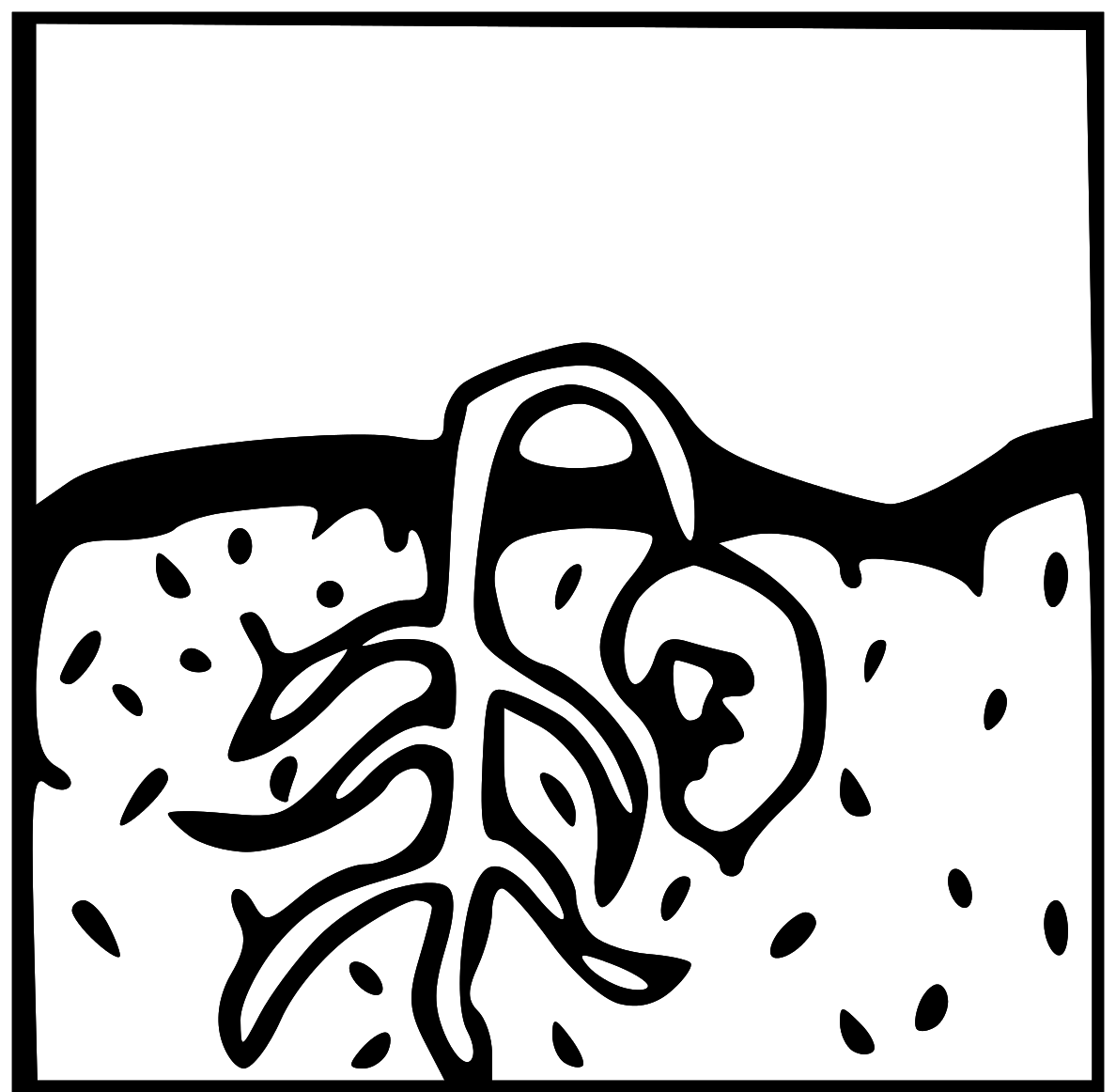 1188x1162 Seed Cliparts