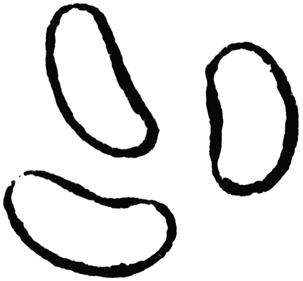 1024x949 Seed Clipart Outline