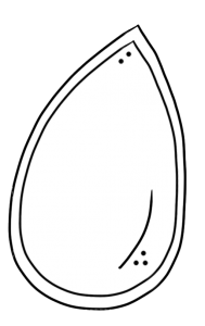 189x300 Download Pumpkin Seed Clipart Clipartmonk