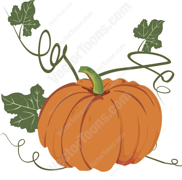Pumpkin Stem Clipart | Free download on ClipArtMag