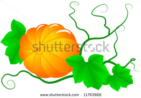 450x314 Pumpkin Vine Clipart