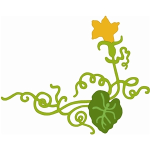 300x300 Silhouette Design Store