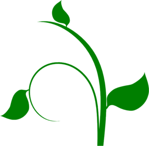 299x294 Vine Clip Art