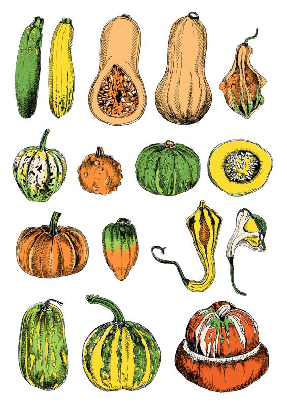 565x800 384 Best Vegetables Illustrations Images Veggies