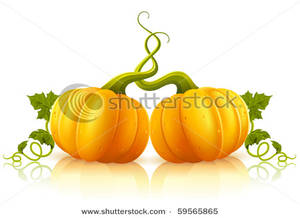 300x218 Orange Pumpkins With Tangled Vines Clipart Picture