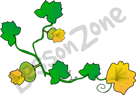 579x404 Blossom Clipart Pumpkin