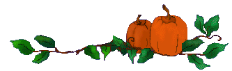 333x102 Squash Clipart Pumpkin Vine