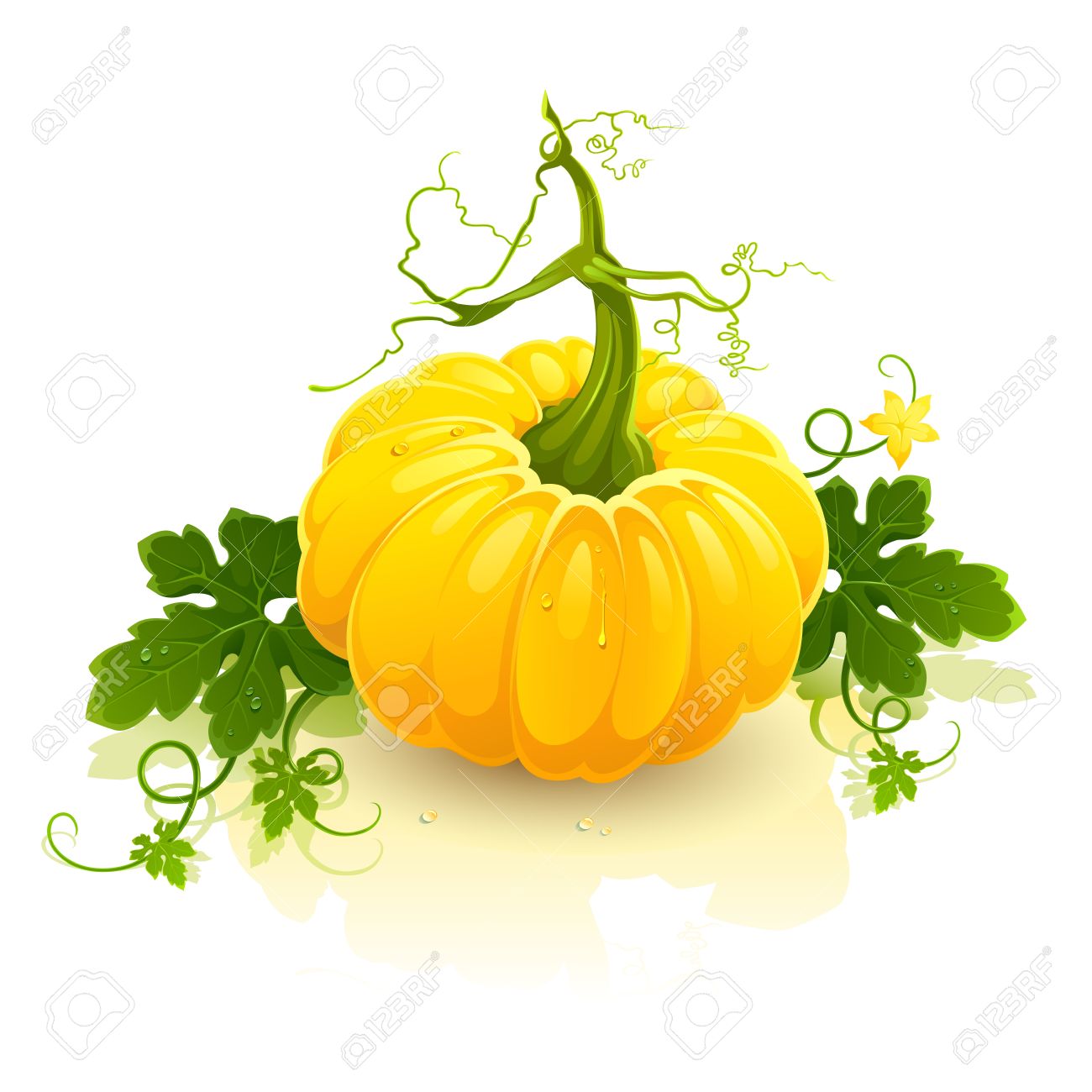 1300x1300 Yellow Pumpkin Clipart