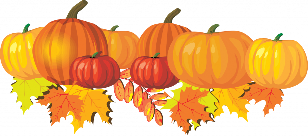 1024x453 Bold Design Clip Art Pumpkins Clipartix