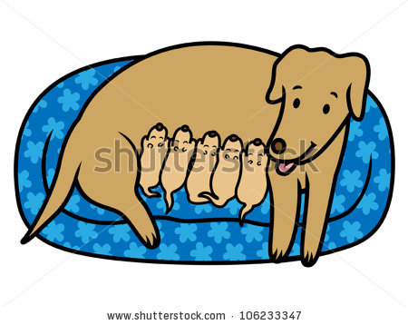 450x358 Puppy Clipart Female Dog