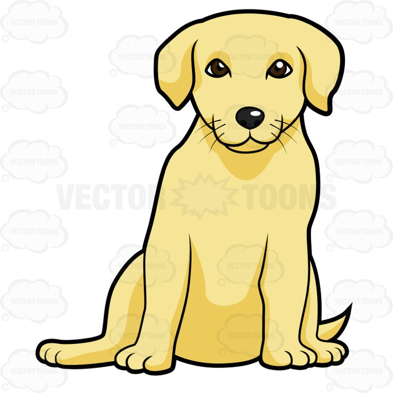 800x800 Golden Labrador Puppy Sitting Cartoon Clipart