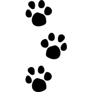 300x300 Paw Print Outline Clipart