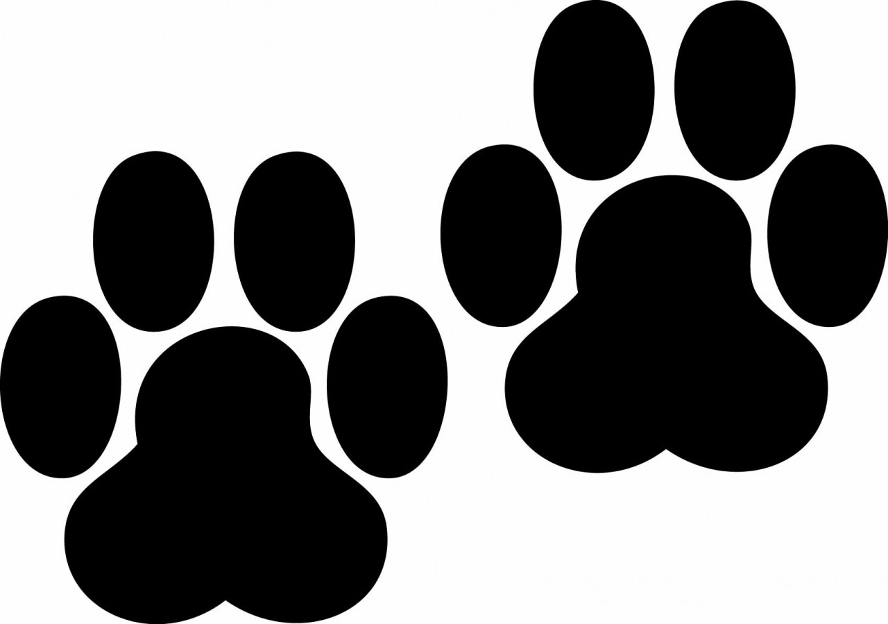 1280x899 Paw Print Tattoos On Dog Paw Prints Scroll Clipart 3 4 2