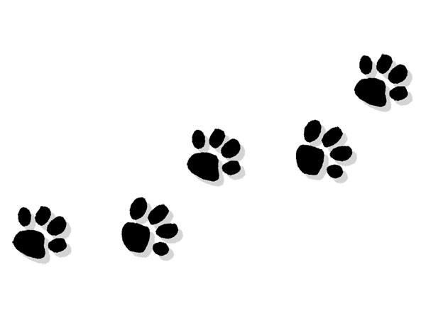 600x445 Paw Clipart Trail