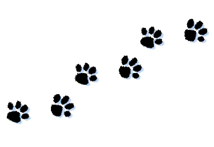 437x300 Dog Paw Prints Clip Art