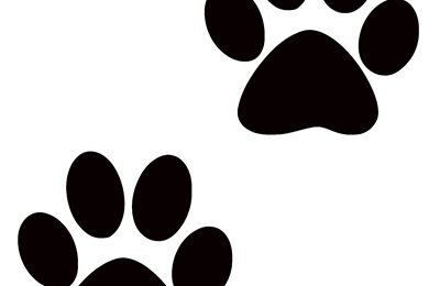 390x260 Pawprint Backgrounds Wallpapers