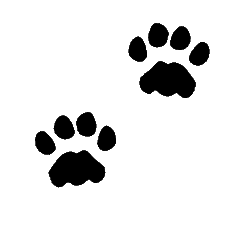 236x236 Cougar Paw Print Clip Art Clipart 2