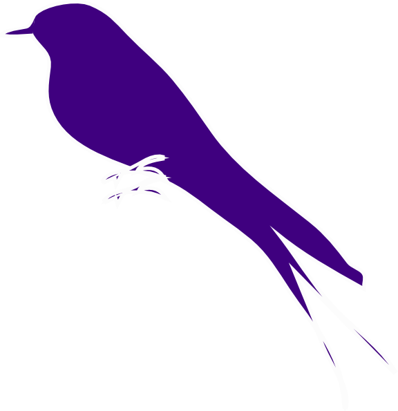 576x595 Purple Finch On A Branch Clip Art