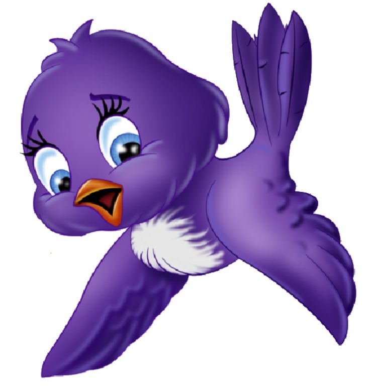 736x775 Purple Bird Clipart Birds Cartoon Birds