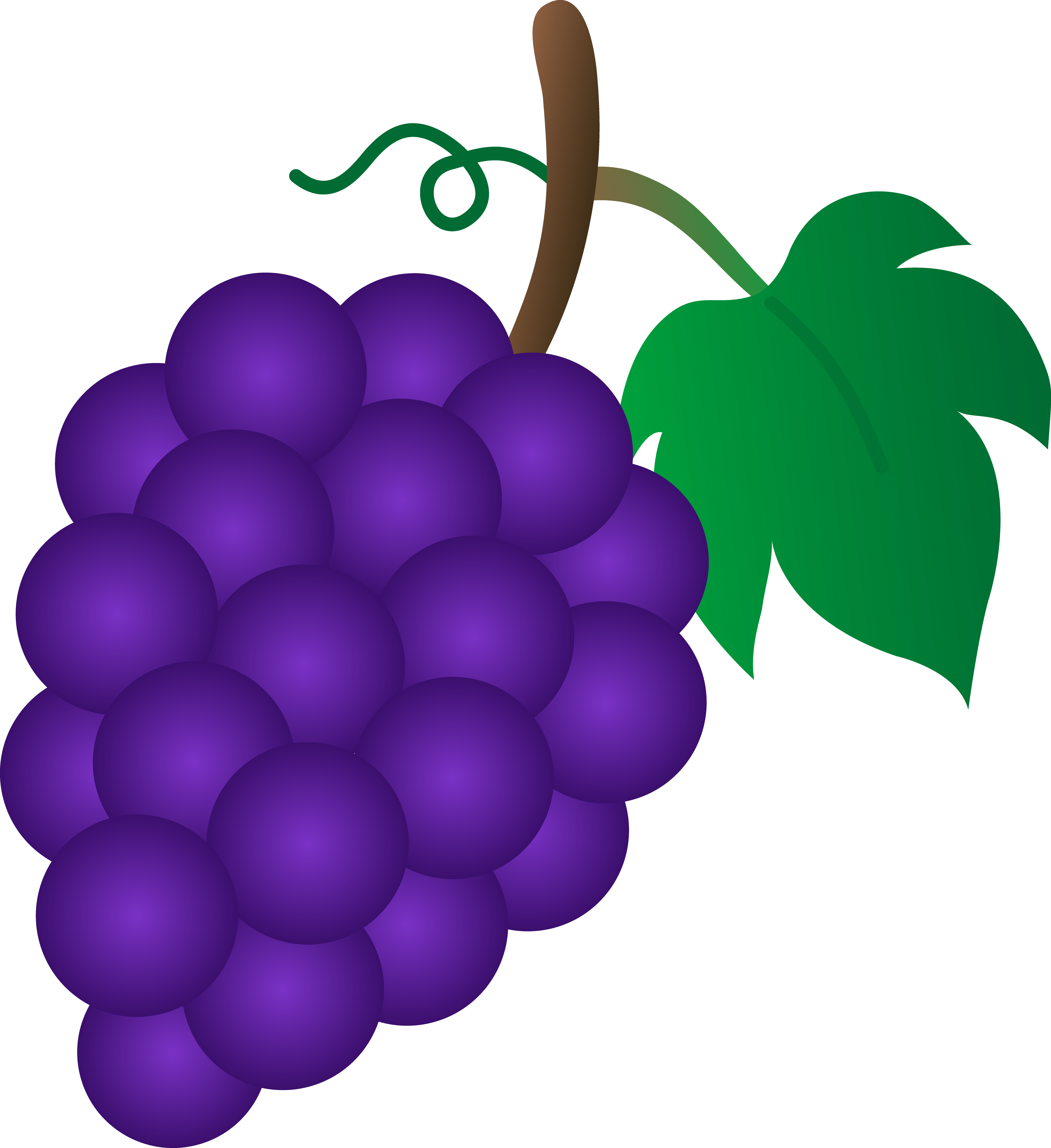 4801x5243 Purple Clipart