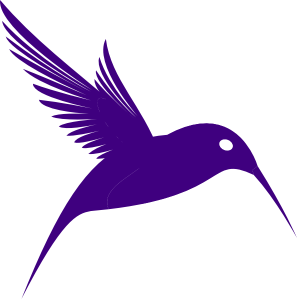 594x598 Xhumming Bird Clip Art