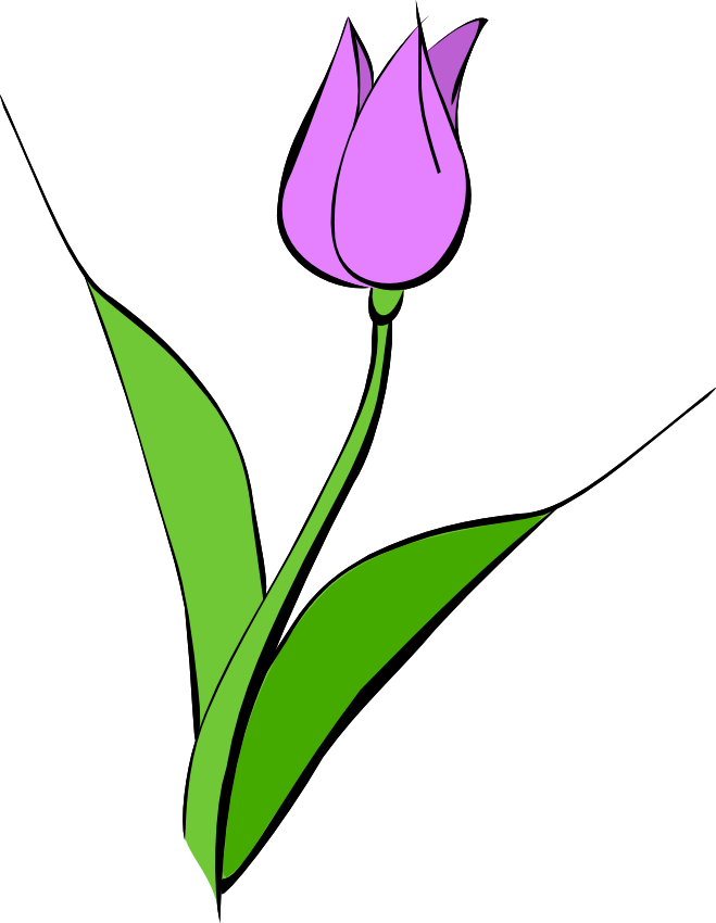 659x850 Purple Tulip Clip Art Clipart Panda