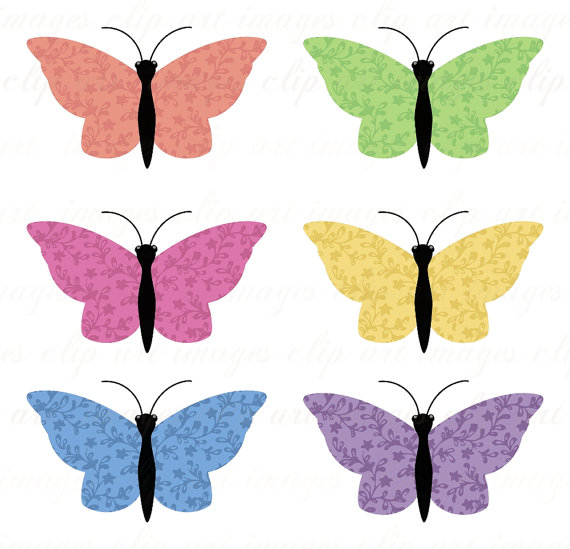 570x549 Cu Calico Butterfly Clip Art, Peach, Pink, Yellow, Green, Blue