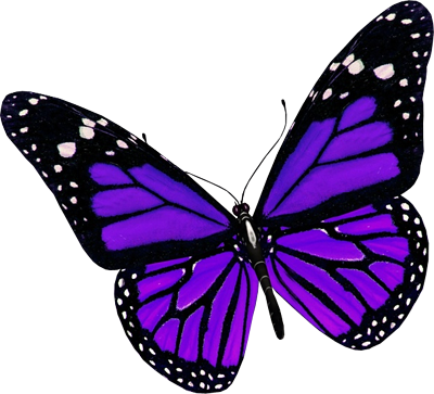 400x363 Purple Butterfly Purple Butterfly Butterflies