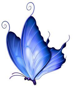 236x286 Butterflies Tatuagens Butterfly, Blue Butterfly