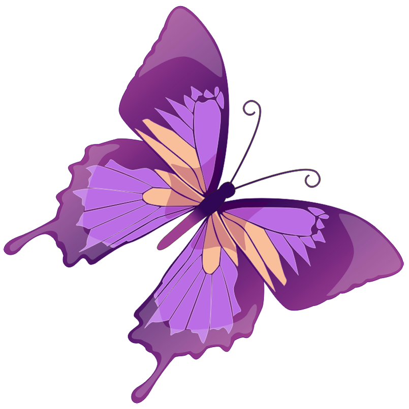 805x805 Purple Flower Clipart Colorful Butterfly